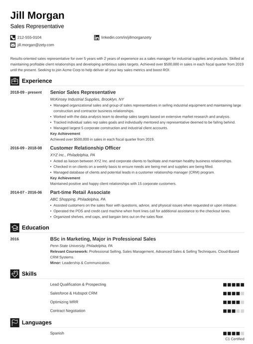 Professional CV